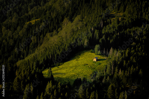 wooden mountain cabin in a lush mountain forest landscape