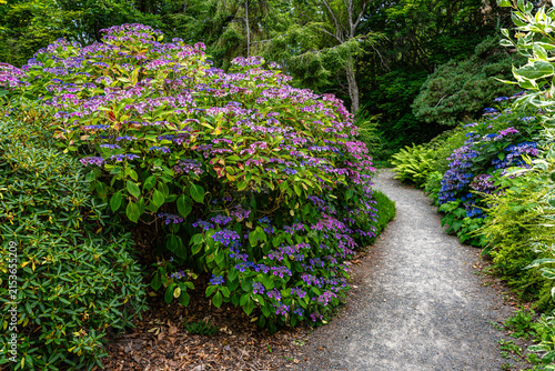 South Seattle Garden Walkway 7