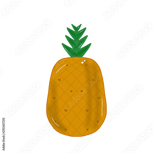pineapple fruit vector illustration