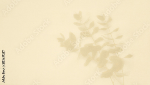 Minimal Ivory Linen Background with Soft Botanical Leaf Shadow