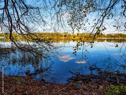 Herbstliche Bäume am Plauer See in der Stadt Plau am See