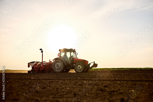 Farmer driving tractor seeding fertile field during sunset, preparing for harvest