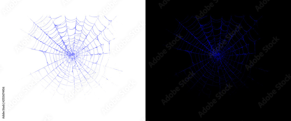 Fototapeta premium Glow-in-the-dark blue spiderweb on black and white backgrounds, spooky neon spider web design elements, Halloween decorative graphic assets