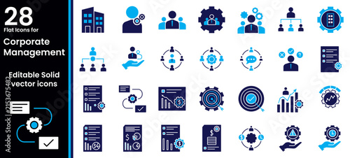 Corporate Management Solid Icons Set – Business Strategy, Team Leadership, Organization, Planning, Performance, Workflow and Management Symbols in Editable Glyph Vector Collection, blue duotone 
