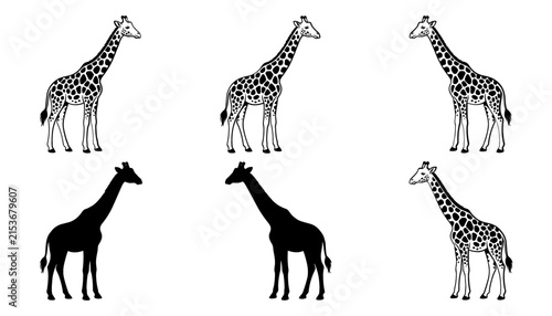 Photography Giraffe Icon Set with Patterned and Silhouette Variations for African Wildlife C