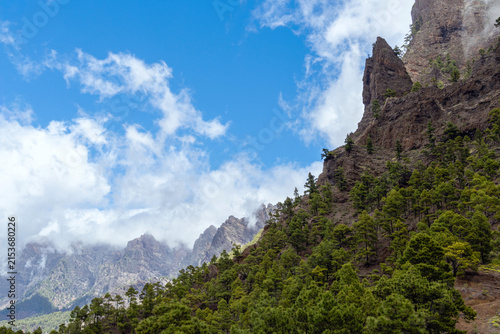 Mountain ridge with pine forest under blue sky with clouds in Caldera de Taburiente