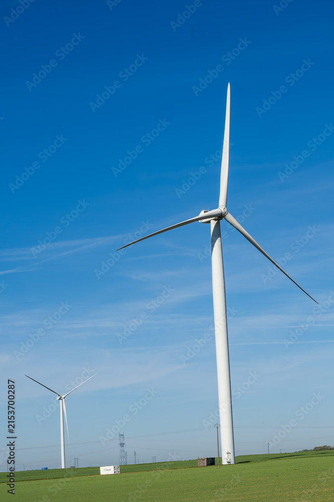 Fototapeta premium Modern wind turbines in a green field. Majestic white windmills generating clean sustainable energy under a beautiful clear blue sky, capturing the eco-friendly future. 