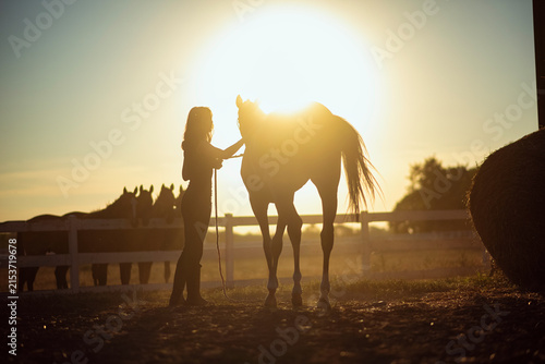 Quadro su tela Woman bonding with horse at golden hour sunset