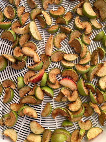 Bild auf Leinwand Freshly sliced apples arranged on a drying rack for natural dehydration, showcasing a step in food preservation and home gardening