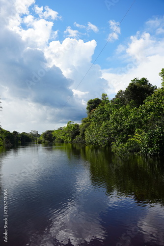 Фотография Igarapé Gama, Vale do Juruá