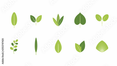 A collection of various green leaves and botanical elements set isolated on a white background for eco friendly nature themed graphic design projects