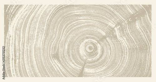 Beige and light brown boho wood texture. Detailed monotone texture of a felled tree trunk or stump. Rough organic tree rings with close up of end grain.