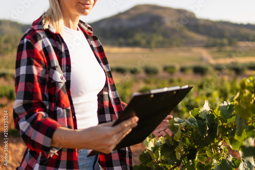 Cuadro en lienzo Woman farmer checking grapevines in a sunny vineyard, holding a clipboard, perfo