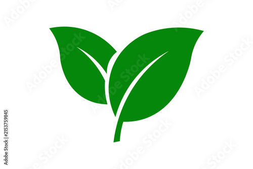 Green Leaves Nature Icon with Fresh Botanical Foliage Isolated On Transparent