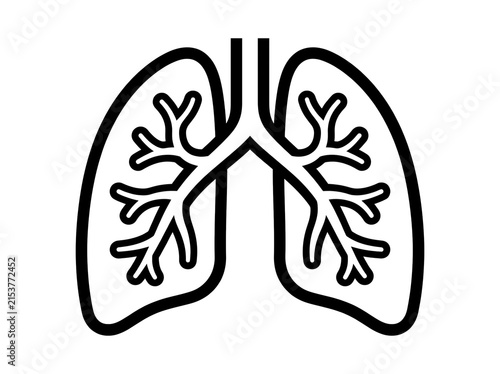 Human lungs diagram with bronchial tree vector illustration