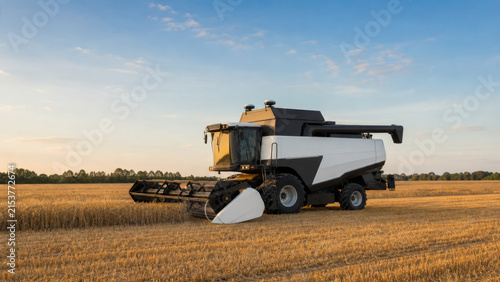 Autonomous Wheat Combine Harvester Working across Golden Agricultural Field