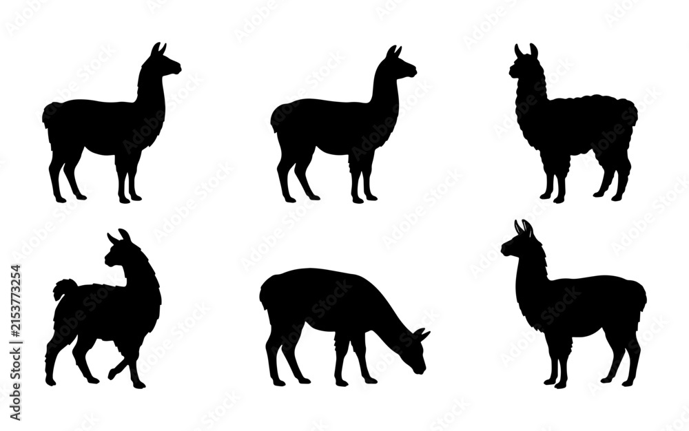 Naklejka premium Black Llama Silhouettes: Six Vector Icons of South American Camelids in Various Poses, Minimalist Animal Graphics