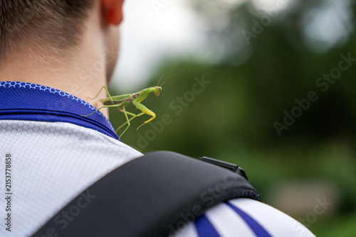 An adult male (imago) praying mantis of the species Hierodula tenuidentata has flown onto and settled on the neck of a teenager during outdoor activity.