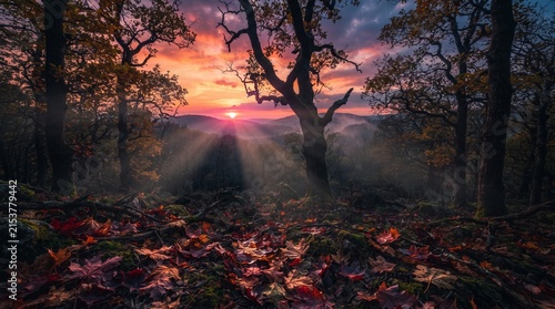 Autumn forest at dawn with sun rays, autumn equinox celebration