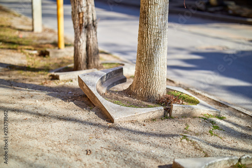 Fotografie Nature Reclaims Urban Space as Tree Damages Concrete Fence and Pavement