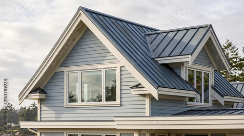 Residential home featuring blue horizontal siding and dark metal roof with gabled architecture elements set against clear sky backdrop within serene forest surroundings.