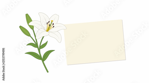 White Lily and Blank Card: A delicate white lily with unopened buds stands beside a clean, blank card, offering a peaceful and elegant canvas for a personal message or announcement.