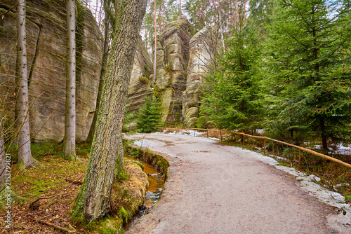 Obraz na płótnie Scenic forest pathway with rock formations and coniferous trees