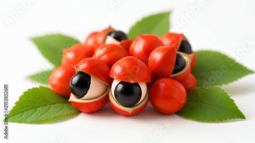 Fresh red guarana fruits paullinia cupana with black seeds and white arils arranged with green leaves isolated on white background tropical superfood.