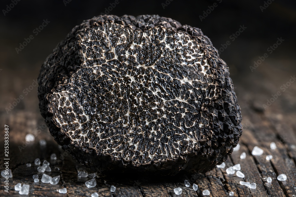 Fototapeta premium Black Truffle Périgord Cross-Section Gleba Marbled Interior Dark Oak Luxury Editorial