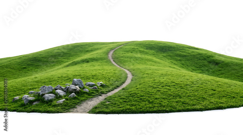 Green hill with winding dirt path isolated