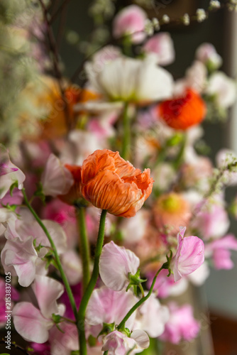 red poppy flowers