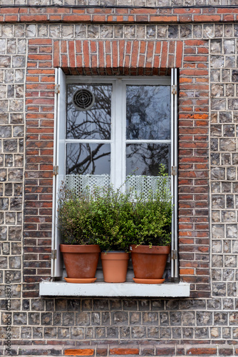 window in the old brick wall