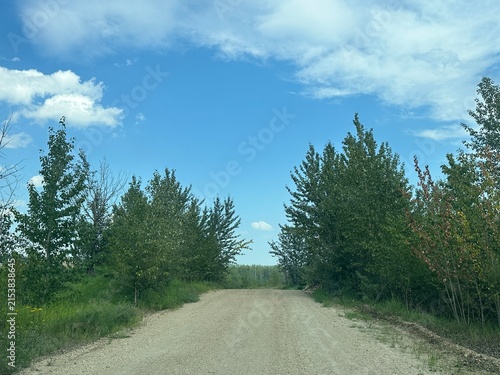 Driver’s Point of View Traveling Along a Rural Dirt Road on a Warm Summer Day Through Open Countryside