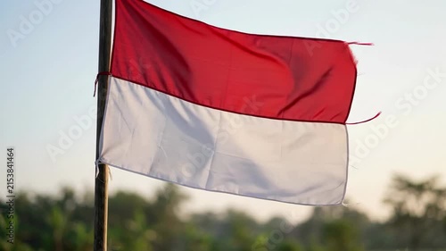 Indonesia Flag Waving in Wind 4K Video