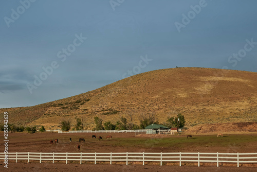 Fotografía Horses grazing near a barn below a sagebrush hillside