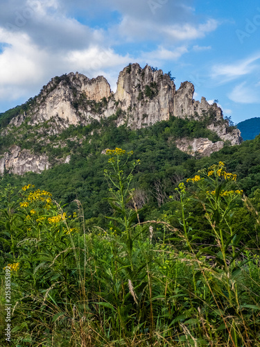 Seneca Rocks rising above lush forest in West Virginia