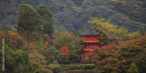 View of a traditional red pagoda nestled among lush green and autumn-colored trees in a forest in Japan.