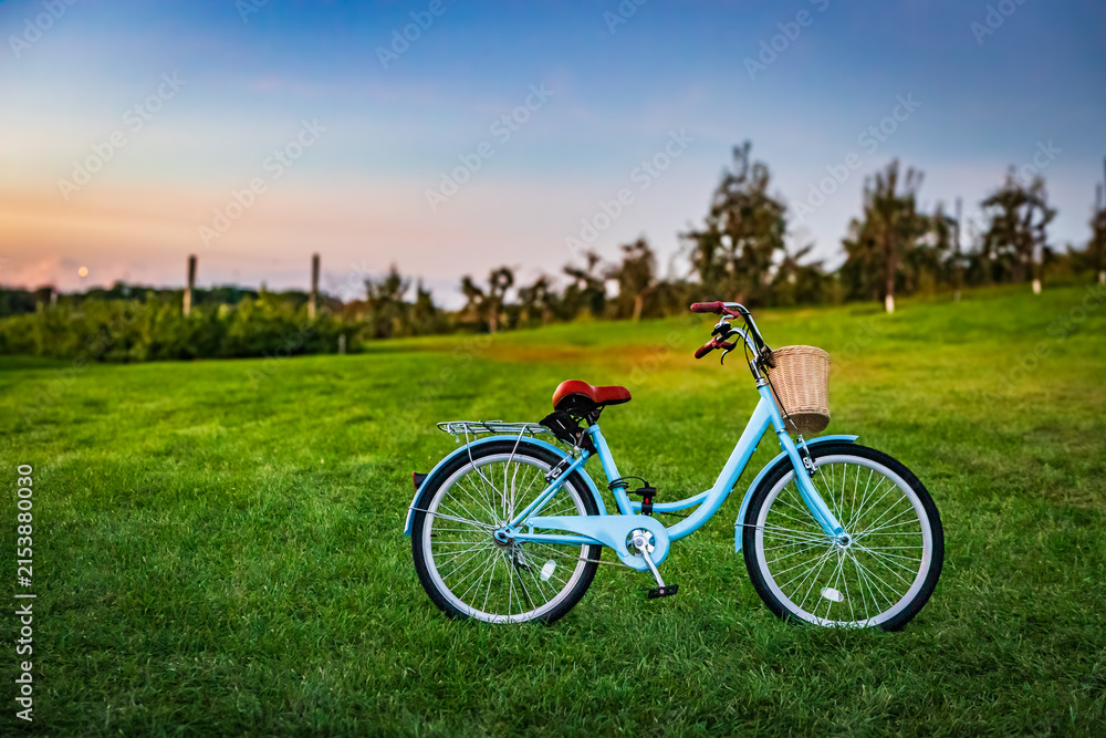 Fototapeta premium Sustainable transportation and outdoor recreation, light blue bicycle with basket on green grass in an orchard at sunset
