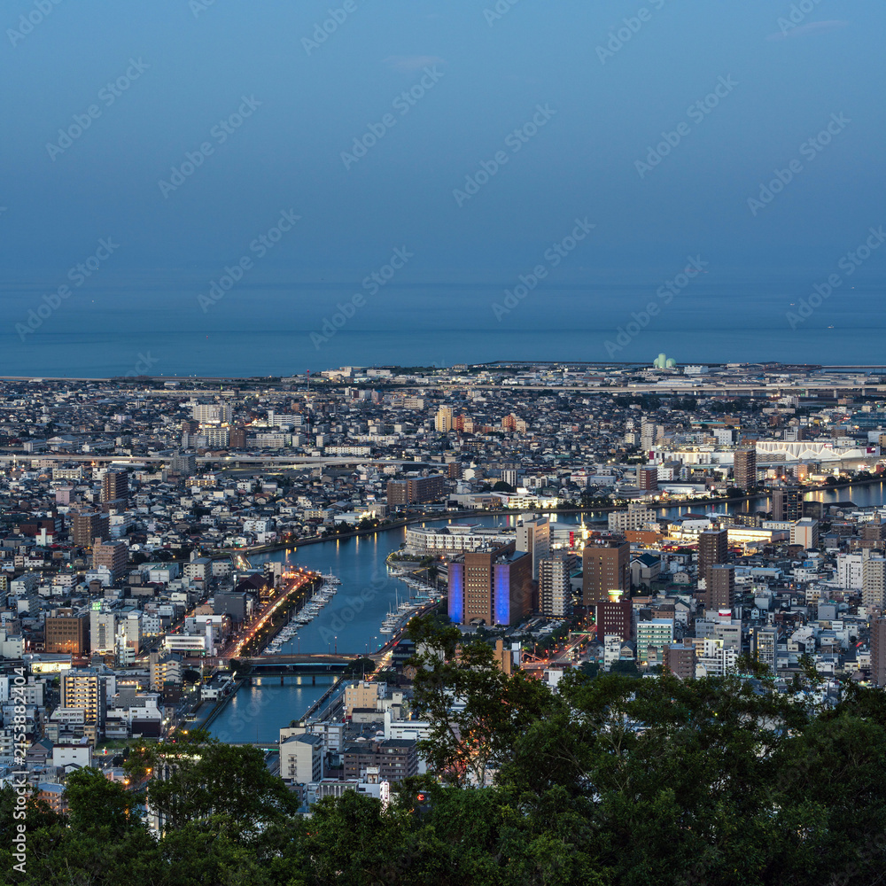 Naklejka premium Panoramic night view of Tokushima city center from the summit of Mount Bizan.