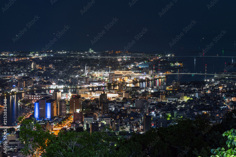 Obraz premium Night view of Tokushima city center from the summit of Mount Bizan.