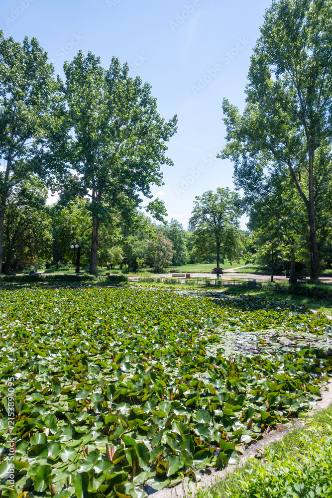 Fototapeta premium Landscape of Borisova gradina in city of Sofia, Bulgaria