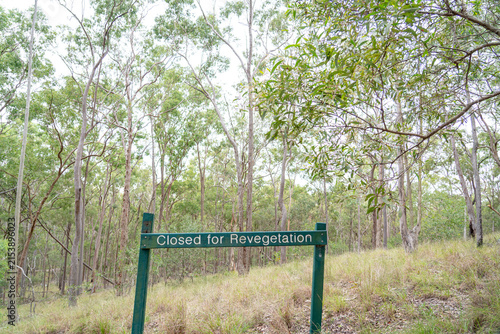 Closed for revegetation sign in native woodland protecting natural bushland restoration area