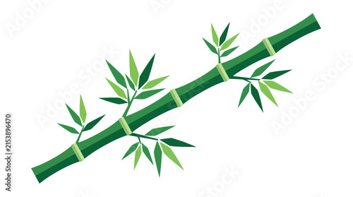 Green bamboo stalk with leaves isolated