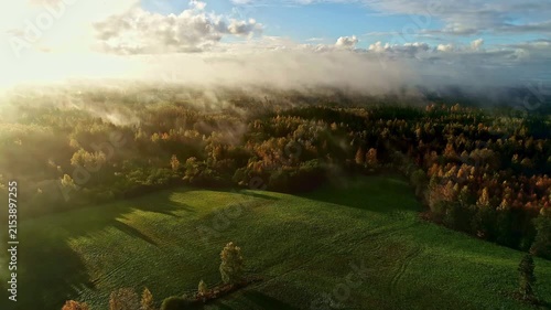 Aerial drone footage of morning mist over lush autumn forest and green meadow during golden hour sunlight, capturing tranquil natural landscape scenery in high quality 4k video