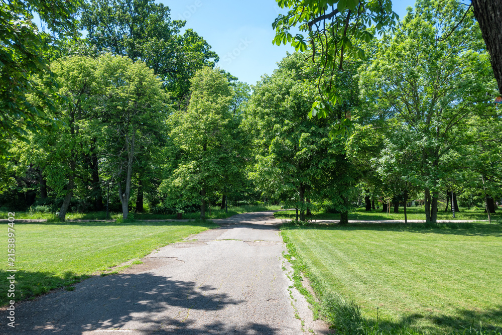 Obraz premium Landscape of Borisova gradina in city of Sofia, Bulgaria