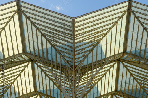 Transparent roof design