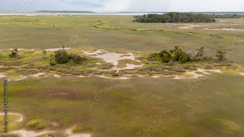 Nature landscape showing marshlands and small island in a flat area with plants during the day