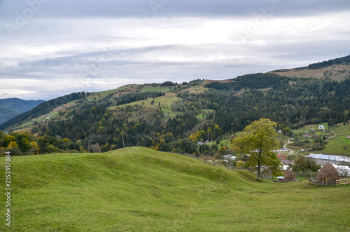 Fotografie Rolling grassy hills and dense forests stretch beneath a wide overcast sky, with scattered meadows and rural clearings creating a peaceful panoramic countryside scene