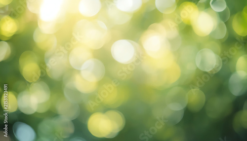 world environment day concept, Beautiful spring blur green nature with bokeh sun light flare and blue sky white cloud abstract background