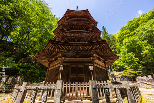 日本の風景・初夏　長野県上田市　別所温泉　新緑の安楽寺　国宝八角三重塔